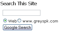 Google AdSense search form